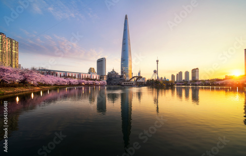 Sunrise over cherry blossom park and tower background