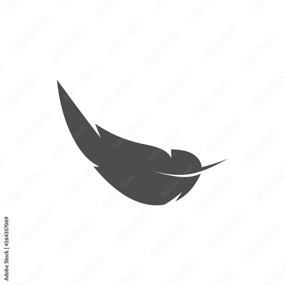Feather graphic design template vector isolated Feather graphic design template vector isolated