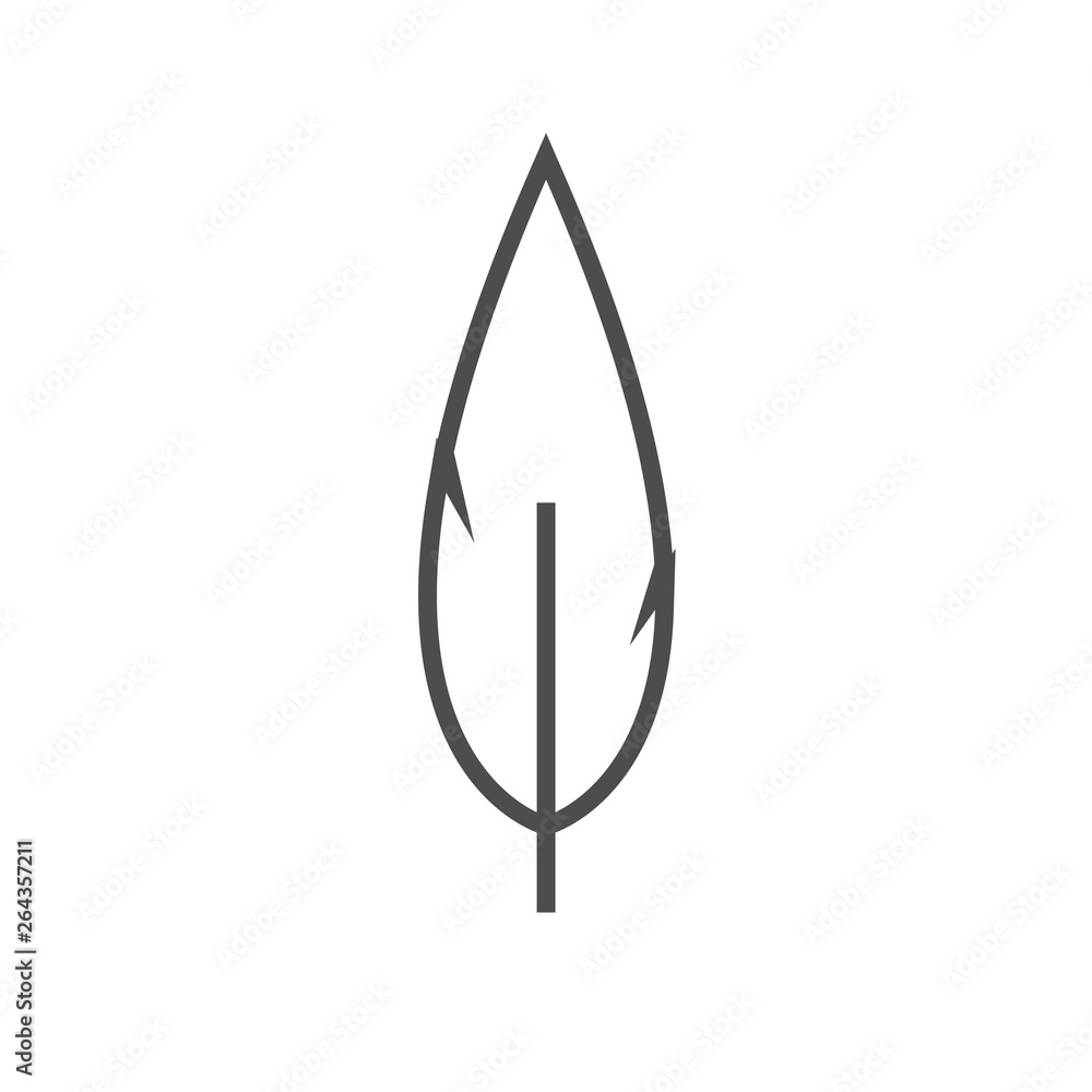 Feather graphic design template vector isolated Feather graphic design template vector isolated
