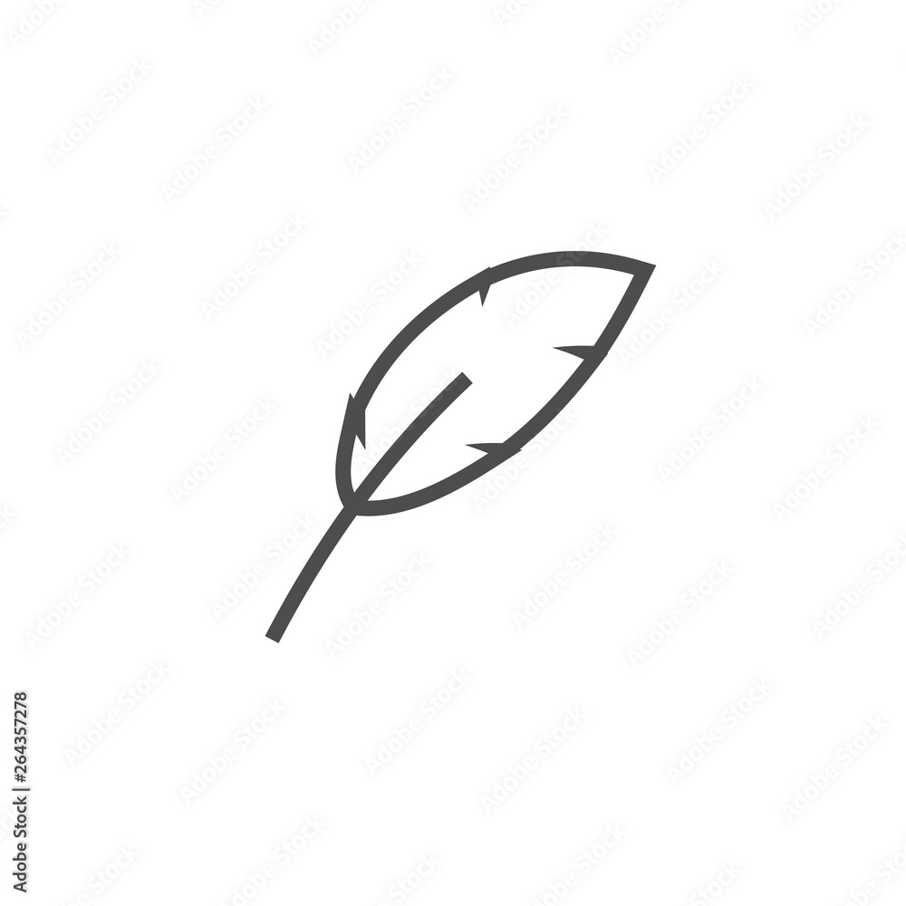 Feather graphic design template vector isolated Feather graphic design template vector isolated