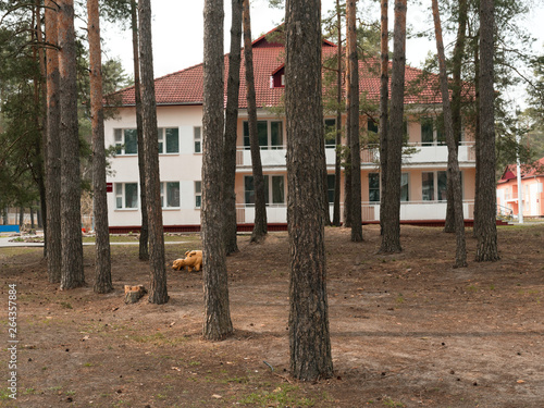 GOMEL, BELARUS - April 21, 2019: Lyceum of the Ministry of Emergency Situations. Territory with educational buildings and barracks.