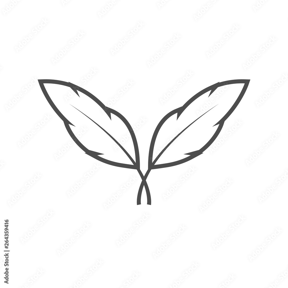 Feather graphic design template vector isolated Feather graphic design template vector isolated