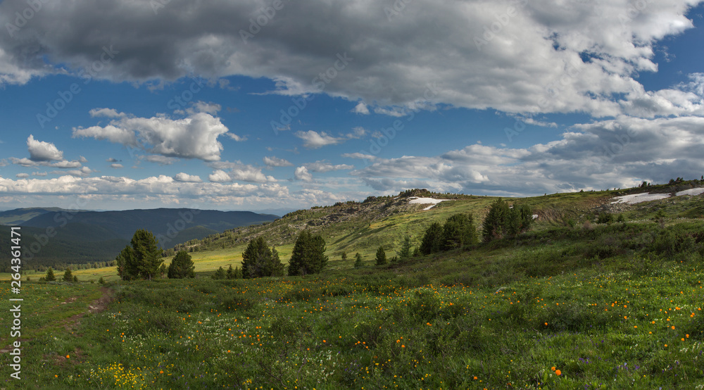 Alpine meadows in Altai