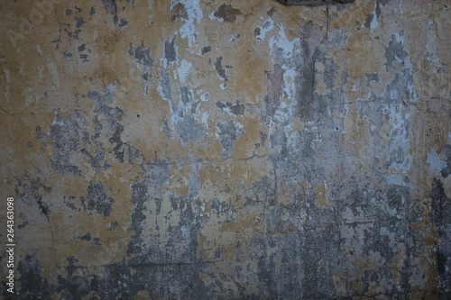 textured wall of the house