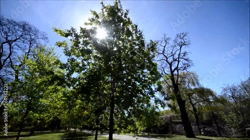 Spring Impressions from the Goethe Park in Berlin-Wedding from April 21, 2015, Germany photo