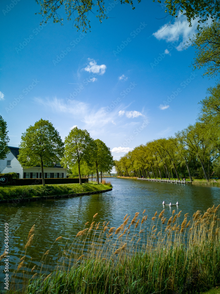 Obraz premium Landscape in Holland