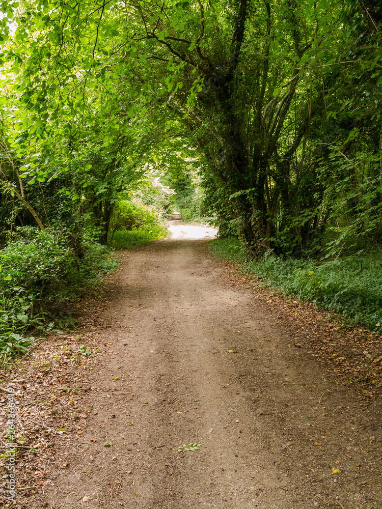 Harrow Way - North of Overton