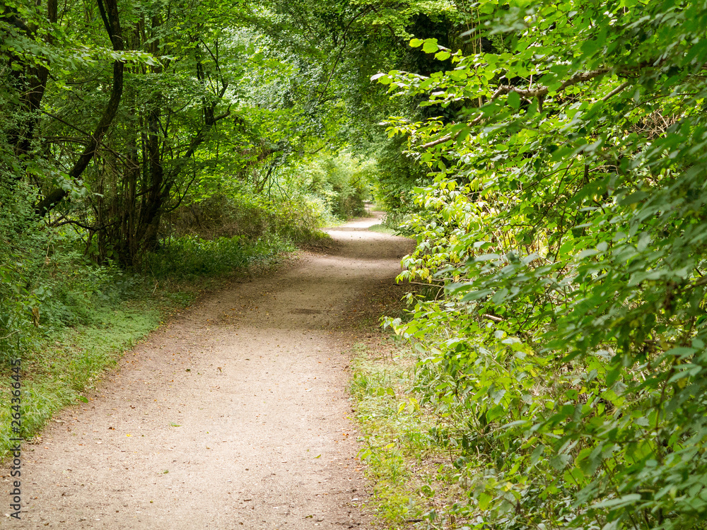 Harrow Way - North of Overton