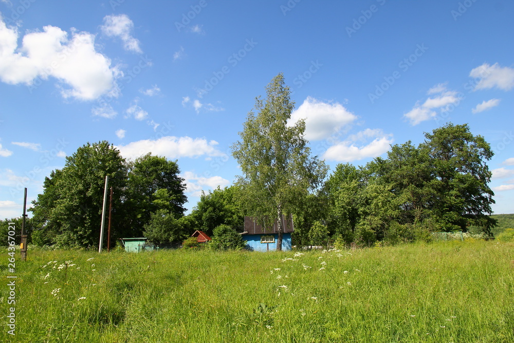 Obraz premium Russian village