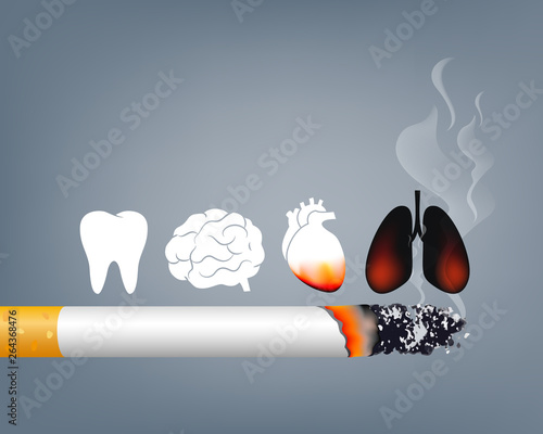 Stop smoking, World no tobacco day. Smoking is harmful to human organs. Resulting in organ damage and premature. Illustration.