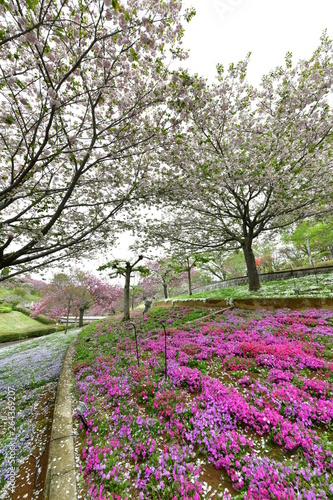 Wallpaper Mural 静峰ふるさと公園 Torontodigital.ca