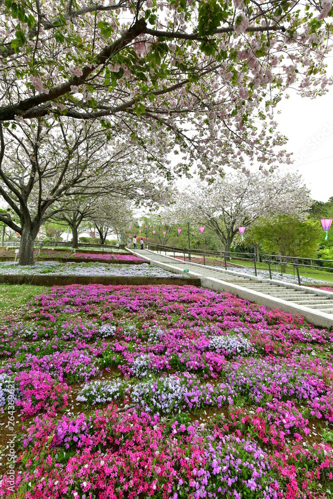 Obraz premium 静峰ふるさと公園