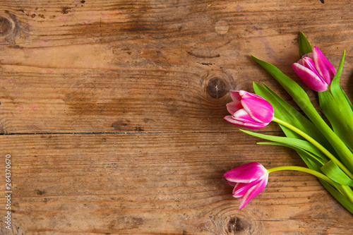 Beautiful pink tulips flowers on the wooden table