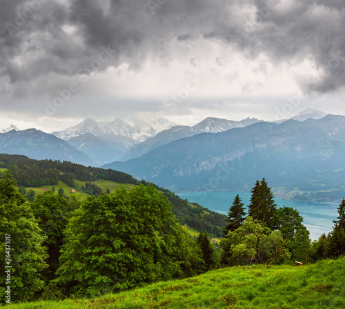 Lake Brienz summer top view (Switzerland).