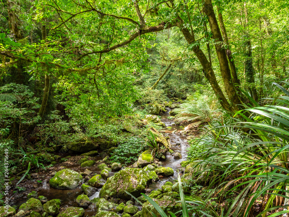 Rain Forest Waterfall Rain Forest Waterfall
