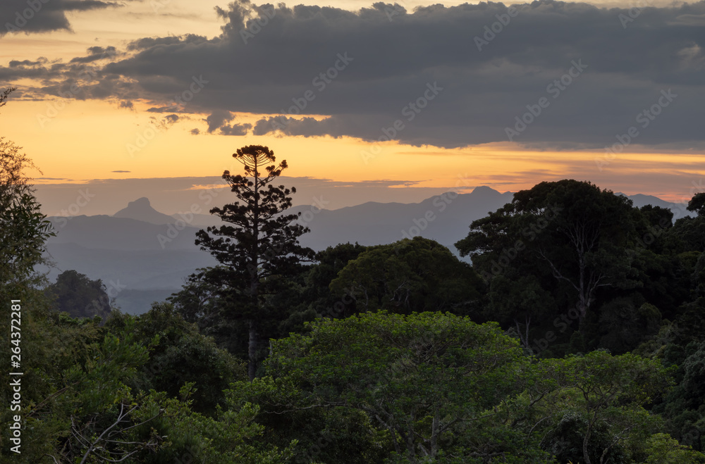 Obraz premium Rain Forest Sunset