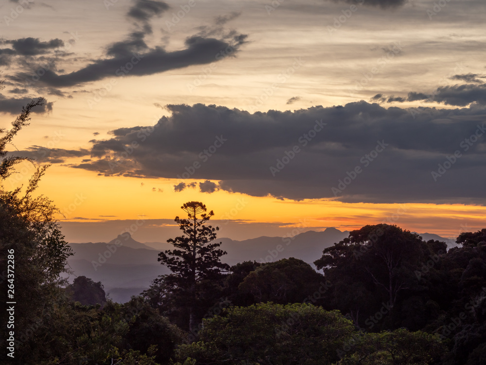 Obraz premium Rain Forest Sunset