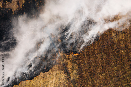 Aerial top view of heavy smoke in the burning field with dry grass and burnt land © Vitaliy Kaplin