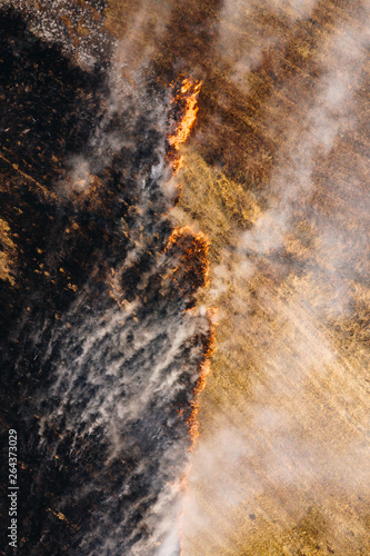 Aerial top view of fire in nature. Dry grass burning in agricultural field, burnt land and smoke © Vitaliy Kaplin