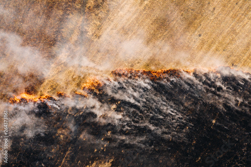 Fire in the field. Dry grass burning with orange flame, ash on the ground and heavy smoke. Aerial top view from the drone © Vitaliy Kaplin