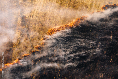 Aerial drone view of the flame in the dry grass, burnt ground and heavy smoke. Fire in natural environment © Vitaliy Kaplin