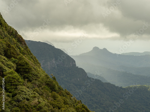 Rain Forest Mountains and Moody Weather