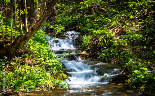 Mountain river with streams like small waterfalls in the forest. Wellhead of river Grza in Serbia in spring.