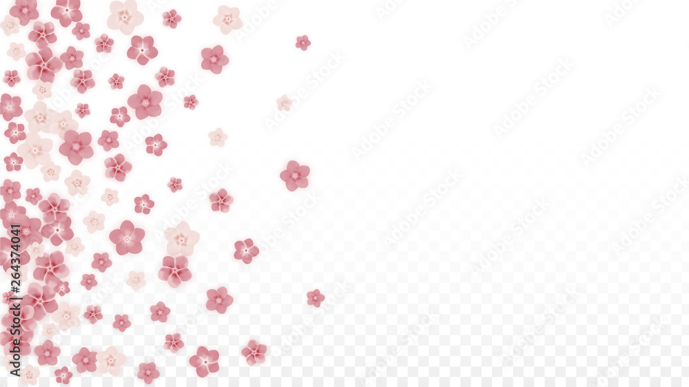 Vector Realistic Pink Flowers Falling on Transparent Background.  Spring Romantic Flowers Illustration. Flying Petals. Sakura Spa Design. Blossom Confetti. Design Elements for Wedding Decoration.