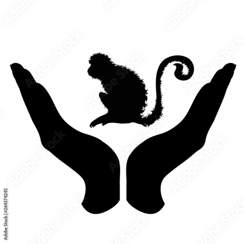 Vector silhouette of a hand in a defensive gesture protecting a monkey. Symbol of animal, wild,africa, nature, humanity, care, protection, veterinary.