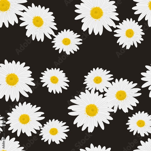 Beautiful floral seamless pattern with daisies on the black background vector © Wiktoria Matynia