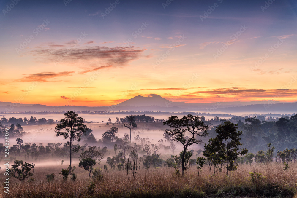 Beautiful Sunrise Landscape of forest , pine tree , mountain in a misty morning at Thung Salaeng Luang National park Beautiful Sunrise Landscape of forest , pine tree , mountain in a misty morning at Thung Salaeng Luang National park