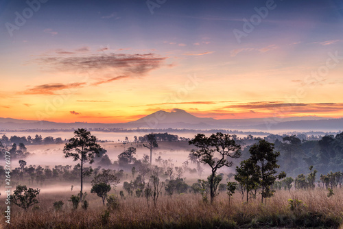 Beautiful Sunrise Landscape of forest , pine tree , mountain in a misty morning at Thung Salaeng Luang National park