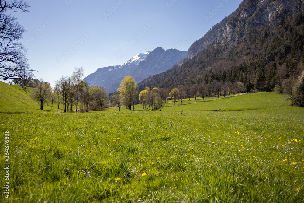 Berge Wandern Natur Alpen