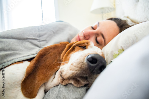Girl and dog sleeping together comfortably and cuddled in bed in the morning. In bed with best friend brown and white basset hound dog with happy face to wake up next to your pet