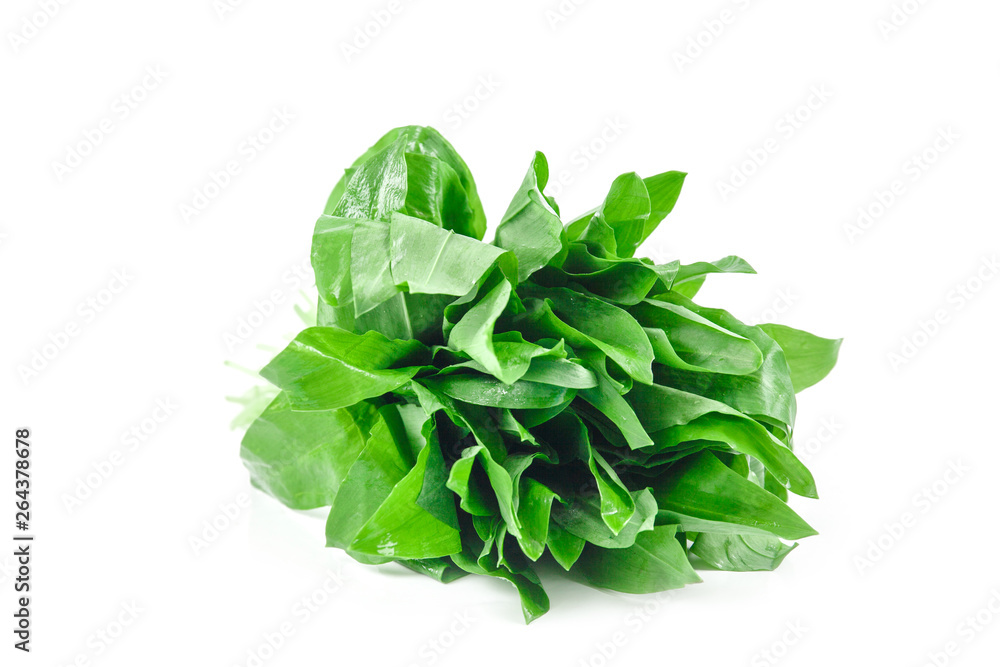 Ramson bunch vegetable isolated on white background