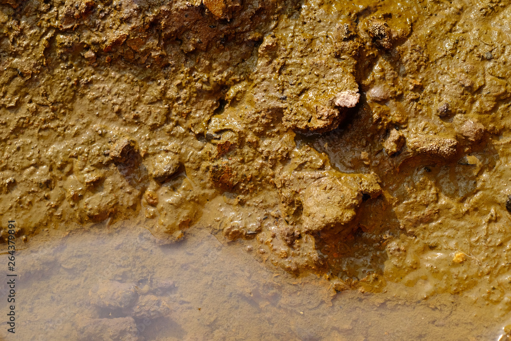mud texture closeup mud texture closeup