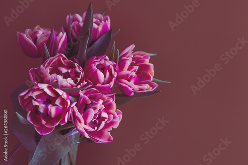 Fresh beautiful pink purple tulip Bouquet on pink background. Easter card. Copy space.