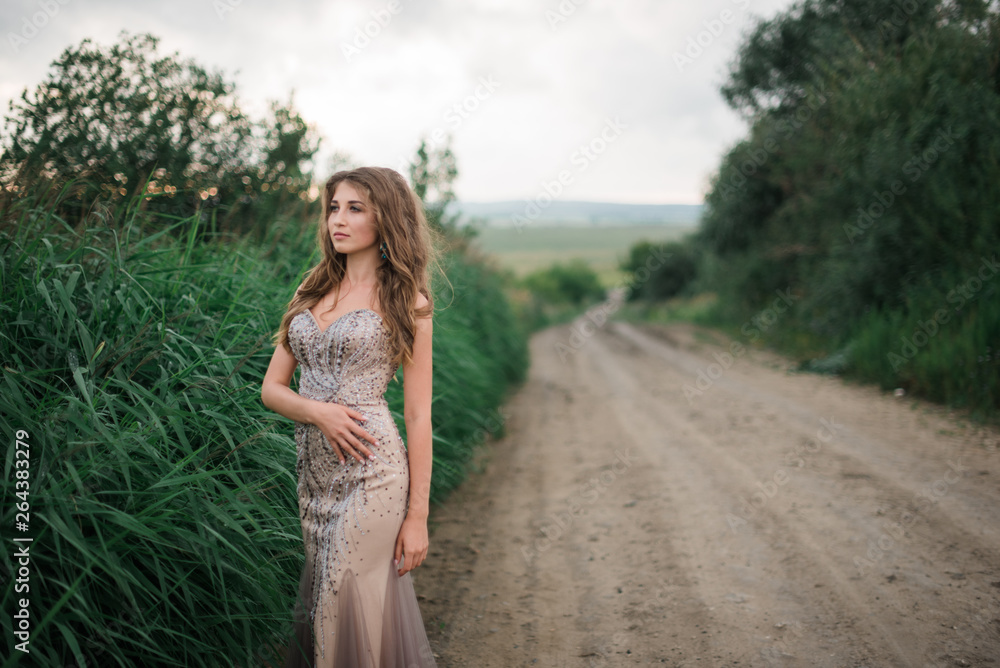 Fototapeta premium beautiful young girl in a summer dress in a field on a background of green grass
