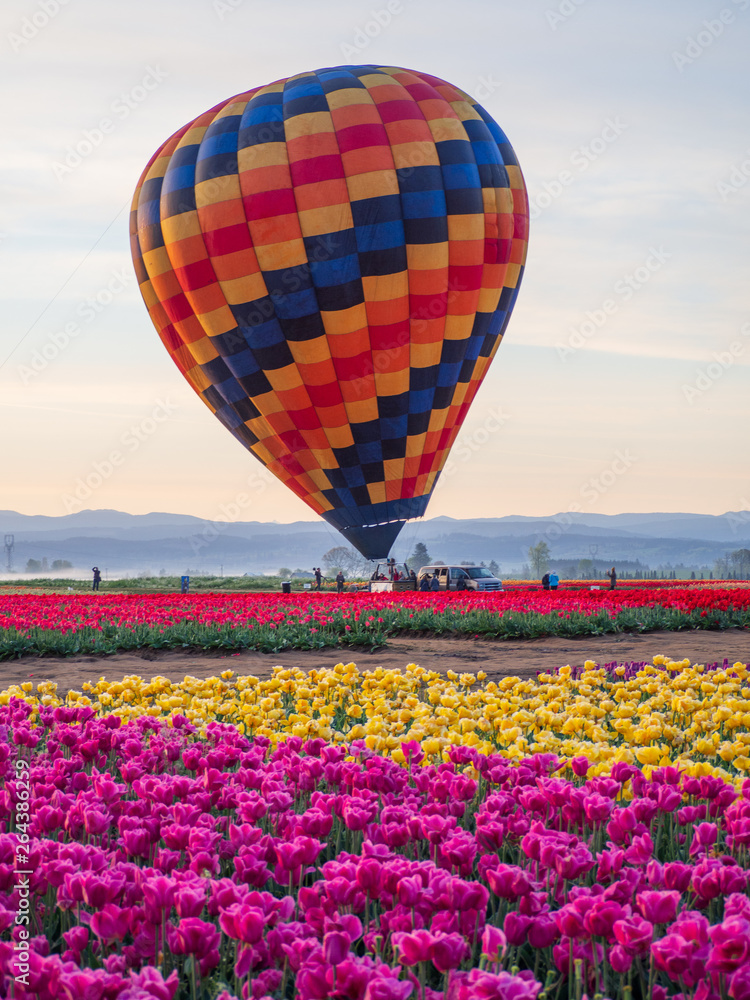 Fototapeta premium hot air balloons in the sky