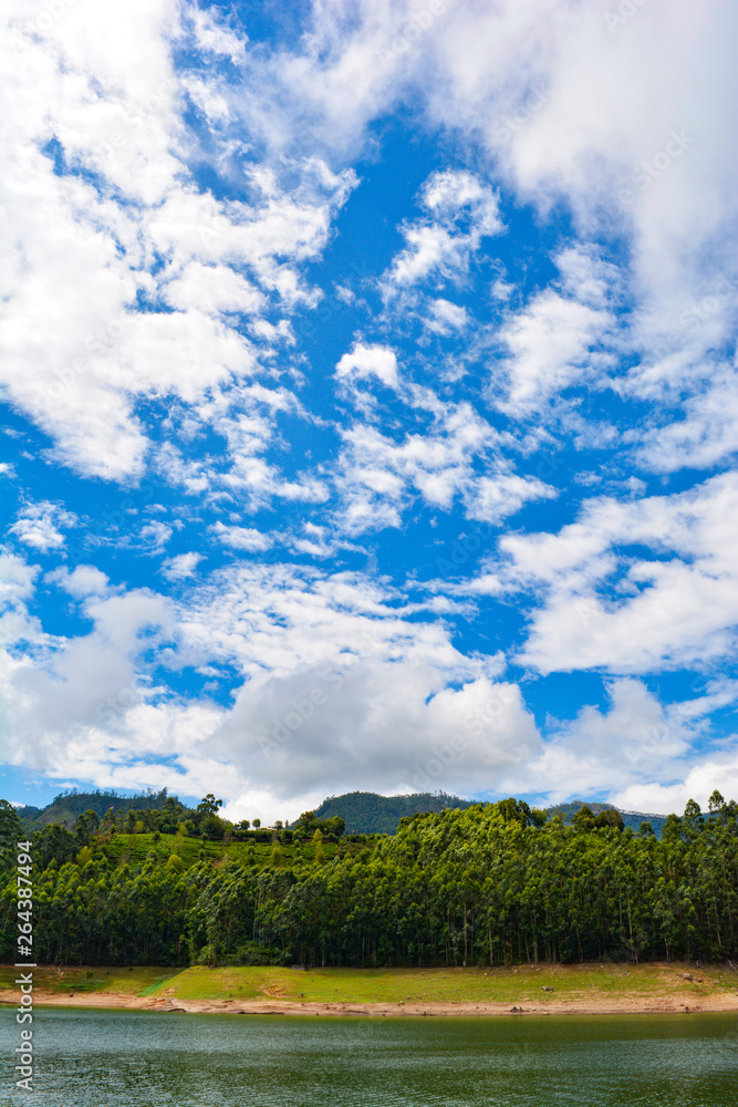 Lake landscape in summer Lake landscape in summer