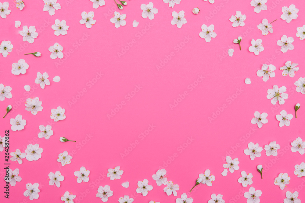 photo of spring white cherry blossom tree on pink background. View from above, flat lay, copy space. Spring and summer background. photo of spring white cherry blossom tree on pink background. View from above, flat lay, copy space. Spring and summer background.