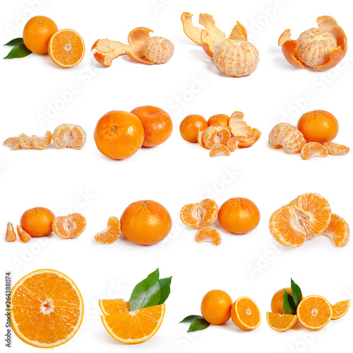 Collage of fresh citrus isolated on white background