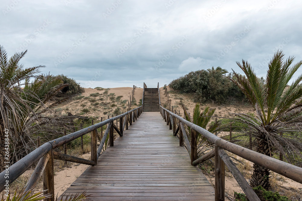 Wooden footbridge in the dunes of the beach