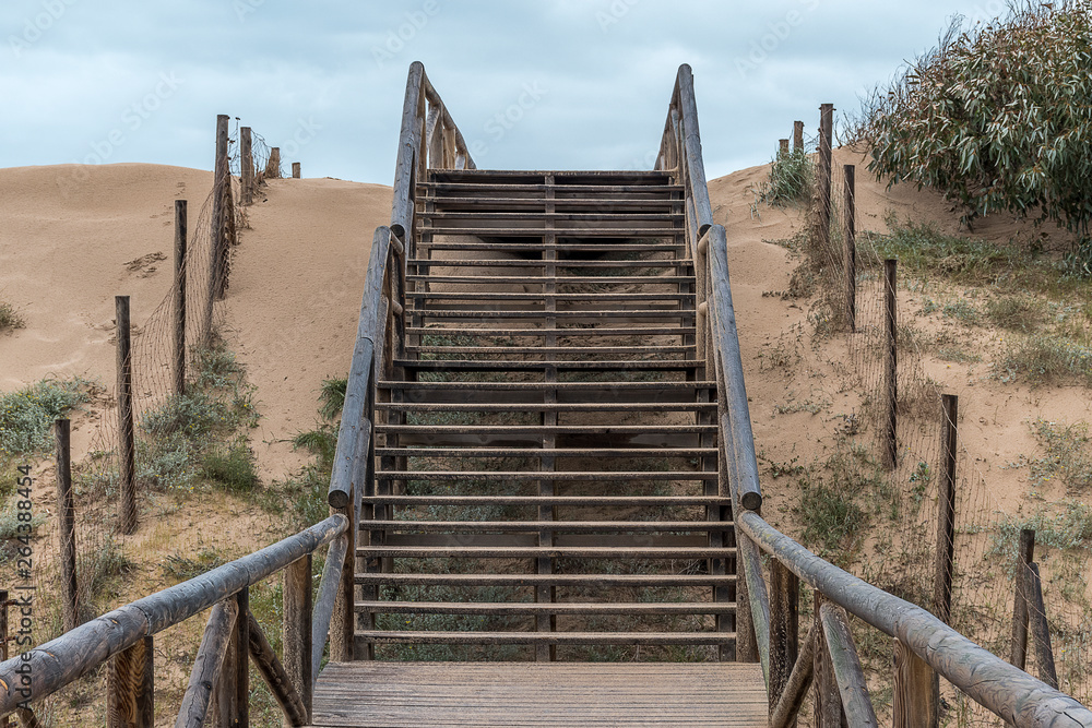Wooden footbridge in the dunes of the beach