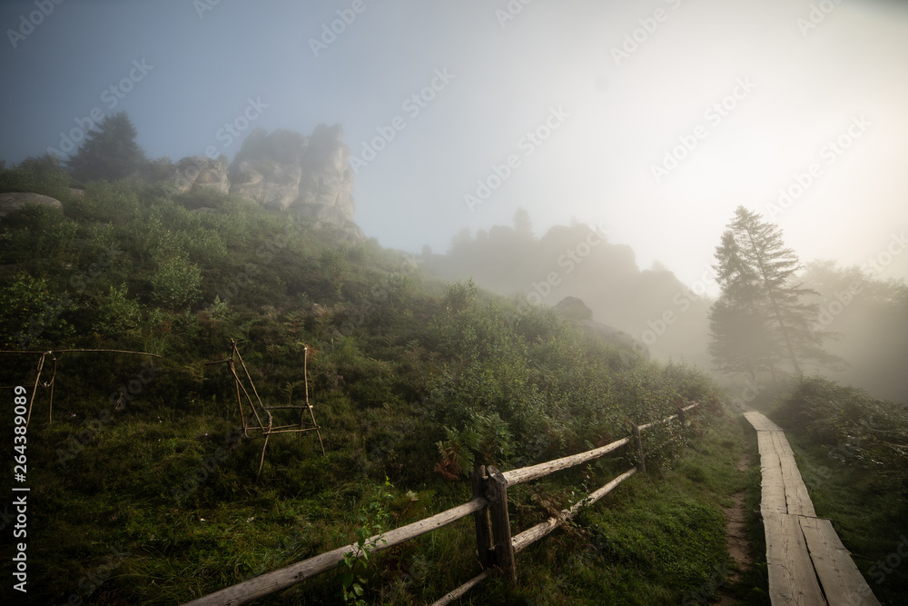 Beautiful morning fog landscape of mountain rocks with a path
