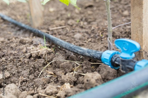 Drip Irrigation System