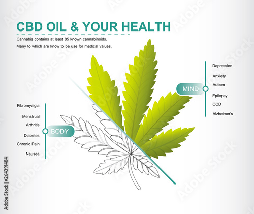 CBD oil and your health active on your body and your mind info graphic