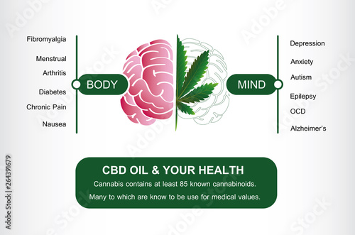 CBD oil and your health active on your body and your mind info graphic