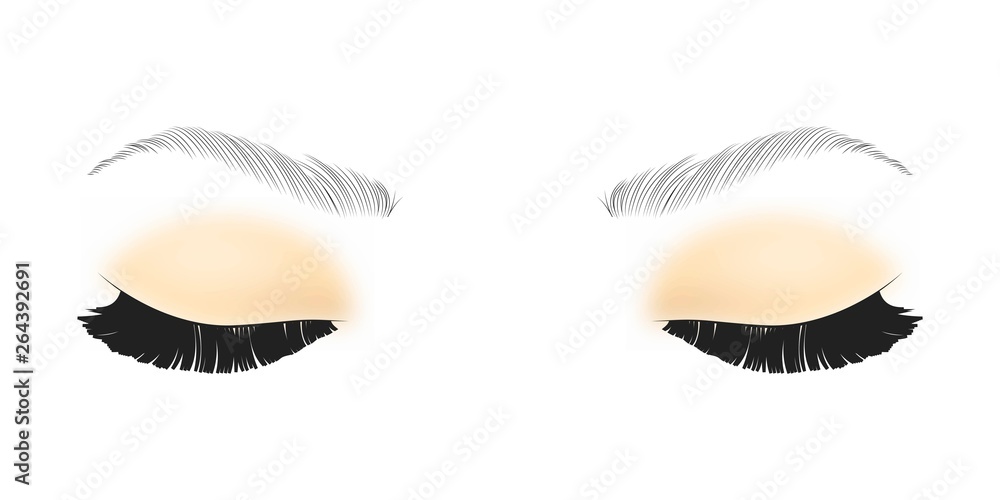 Black False eyelashes. Mascara single decorative element. Black False eyelashes. Mascara single decorative element.