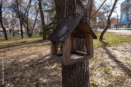 bird feeder weighs on a tree in spring